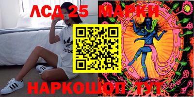 стаф Белореченск