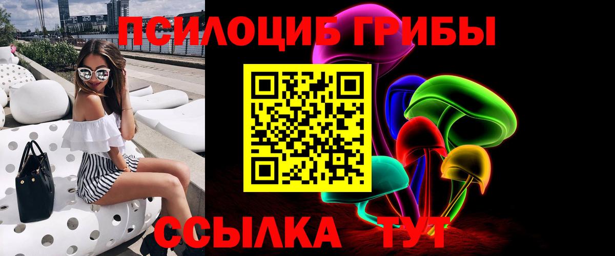 Галлюциногенные грибы Psilocybe  Псилоцибиновые грибы Psilocybine cubensis  Вход с VPN  Гусиноозёрск 